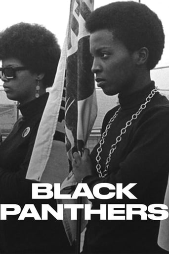 Portrait for Black Panthers - Season 1