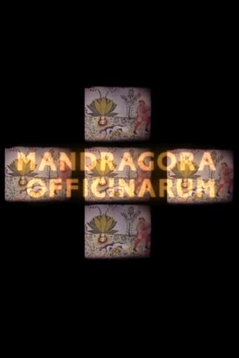 Poster of Mandragora officinarum