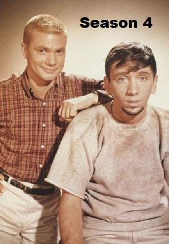 Portrait for The Many Loves of Dobie Gillis - Season 4