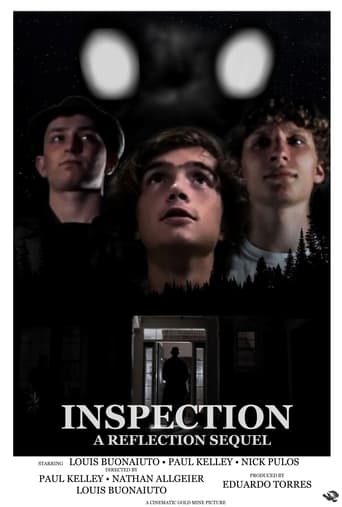 Poster of INSPECTION: A REFLECTION SEQUEL