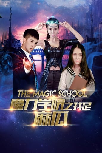 Poster of The Magic School