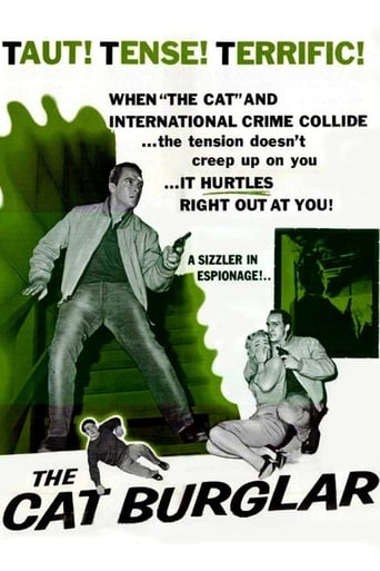 Poster of The Cat Burglar