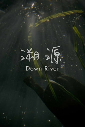 Poster of Down River