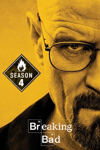 Portrait for Breaking Bad - Season 4