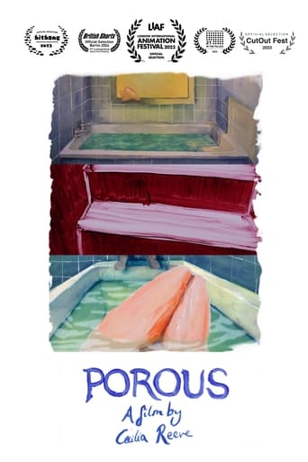 Poster of Porous