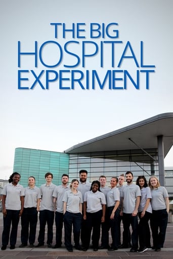 Poster of The Big Hospital Experiment