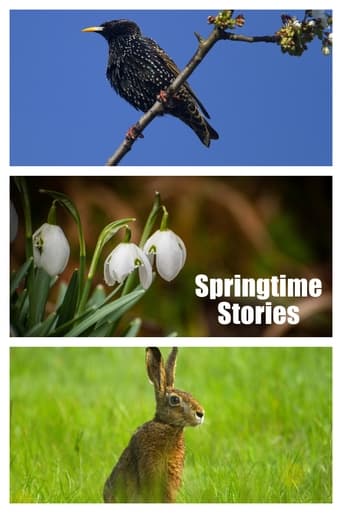 Poster of Springtime Stories