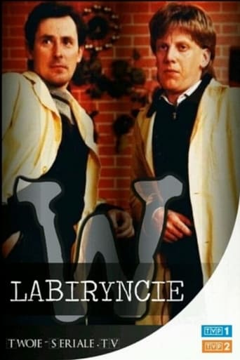 Poster of W labiryncie