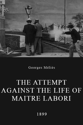 Poster of The Attempt Against the Life of Maitre Labori