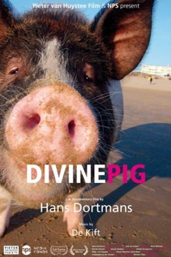 Poster of Divine Pig