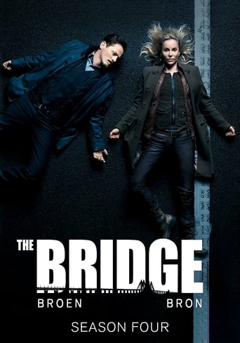 Portrait for The Bridge - Season 4