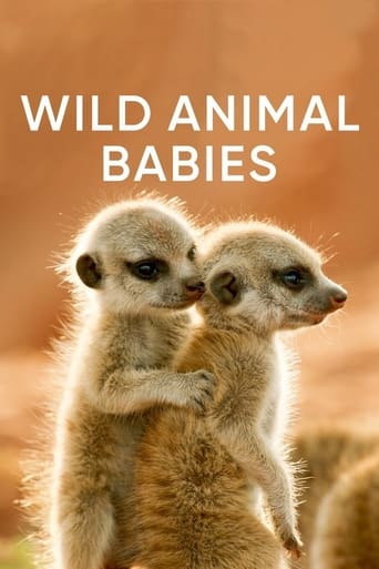 Portrait for Wild Animals Babies - Season 1