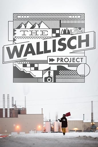 Poster of The Wallisch Project