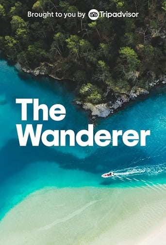 Poster of The Wanderer