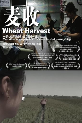 Poster of Wheat Harvest