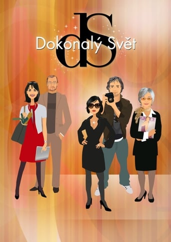 Poster of Dokonalý svět