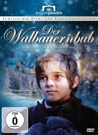 Portrait for Waldheimat - Season 3