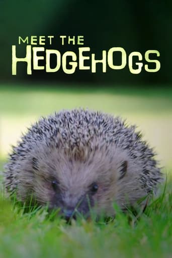 Poster of Meet the Hedgehogs