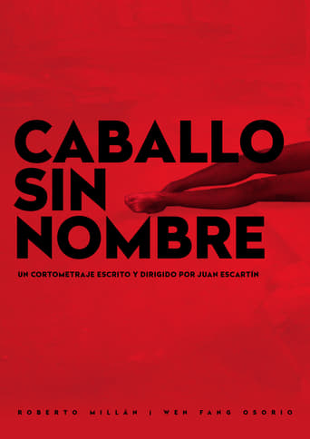 Poster of Caballo sin Nombre