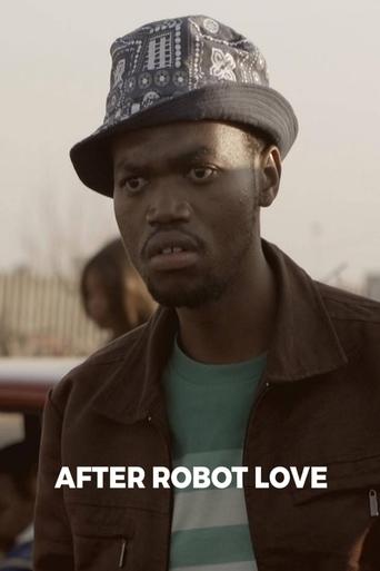 Poster of After Robot Love