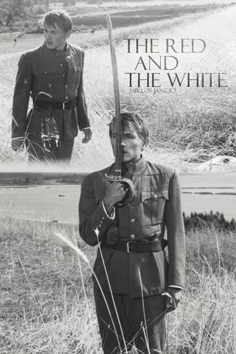 Poster of The Red and the White