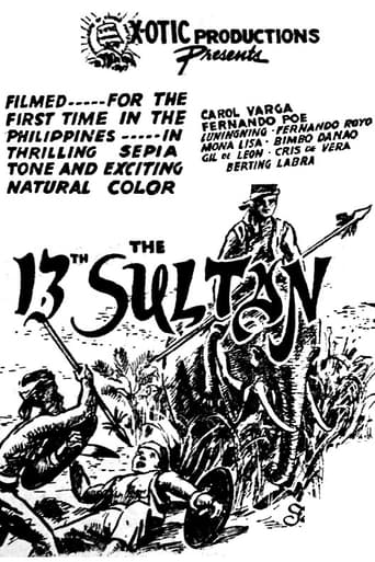 Poster of The 13th Sultan