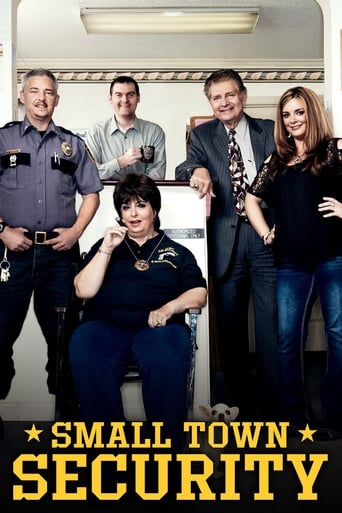 Poster of Small Town Security