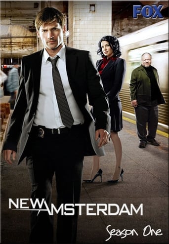 Portrait for New Amsterdam - Season 1