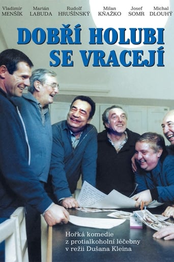 Poster of Dobří holubi se vracejí