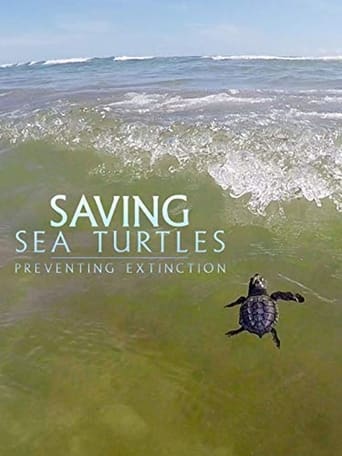 Poster of Saving Sea Turtles: Preventing Extinction