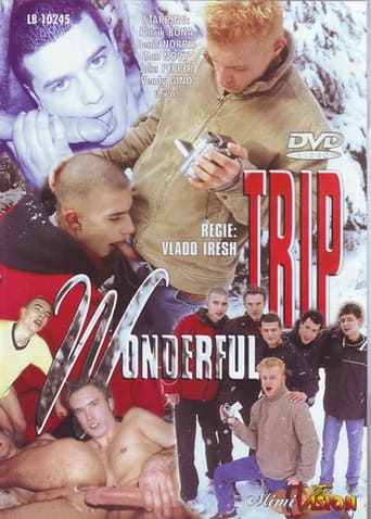 Poster of Wonderful Trip