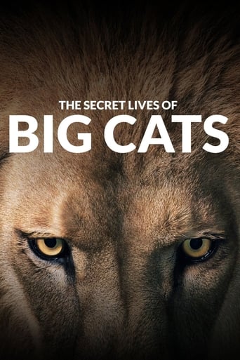 Portrait for The Secret Lives Of Big Cats - Season 1