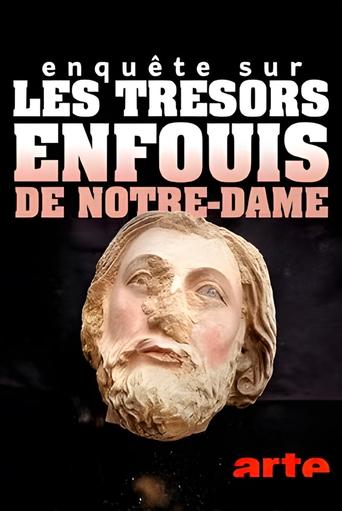 Poster of Enquête sur les trésors enfouis de Notre-Dame de Paris