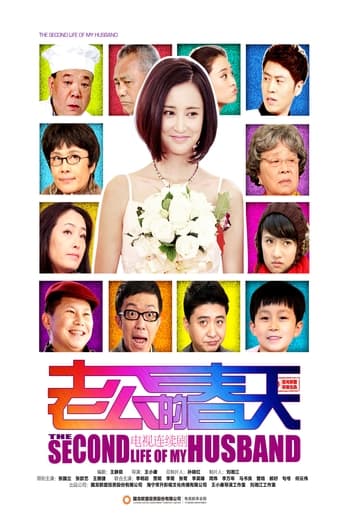 Poster of 老公的春天