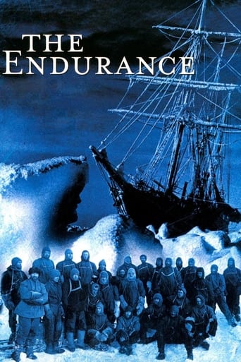 Poster of The Endurance