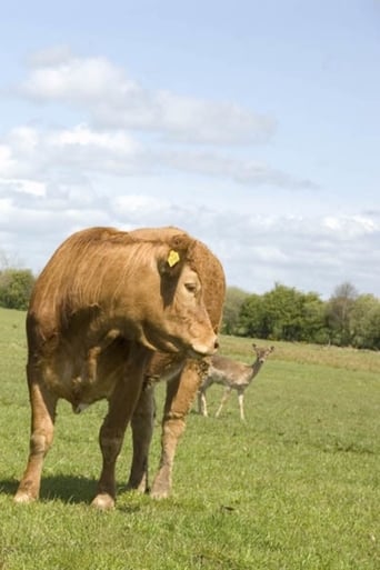 Poster of The Herd