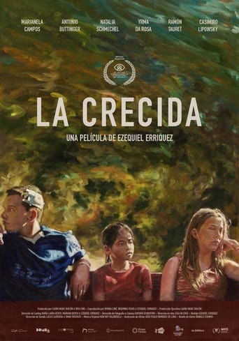 Poster of La crecida