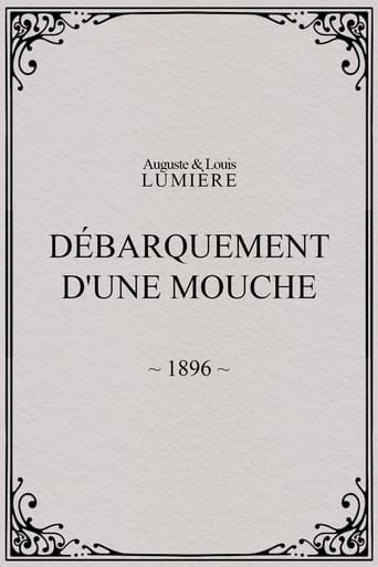 Poster of Lyon: Débarquement d'une mouche