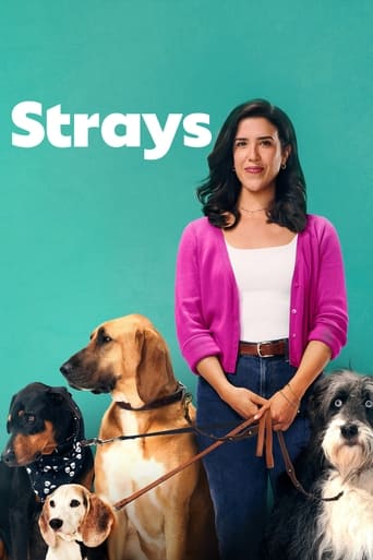 Portrait for Strays - Season 2