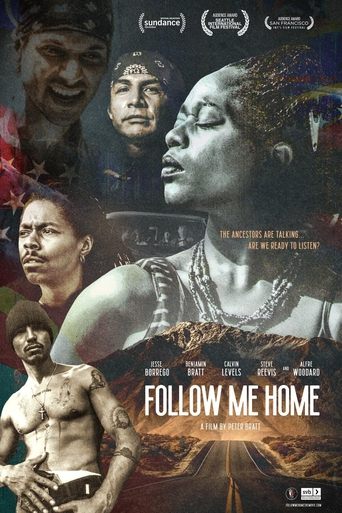 Poster of Follow Me Home