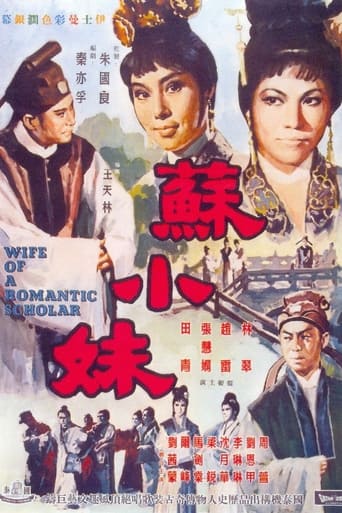 Poster of Wife of a Romantic Scholar