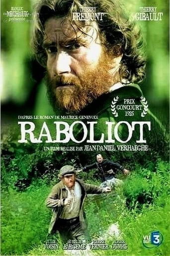 Poster of Raboliot