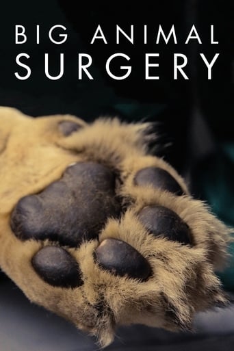 Portrait for Big Animal Surgery - Season 1