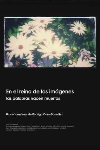 Poster of En el reino de las imágenes, las palabras nacen muertas