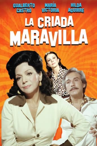 Poster of La criada maravilla