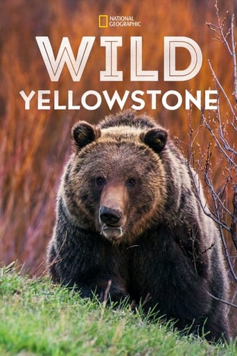 Poster of Wild Yellowstone