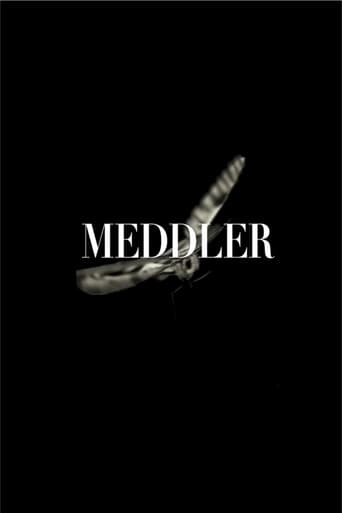 Poster of Meddler