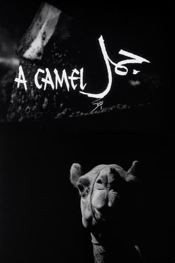 Poster of A Camel