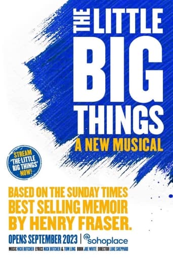 Poster of The Little Big Things