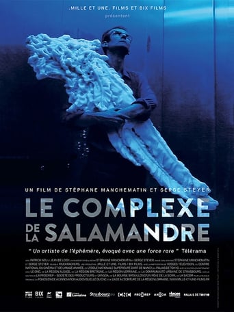 Poster of Le Complexe de la salamandre